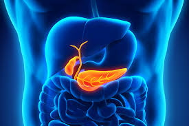 biliary track treatment